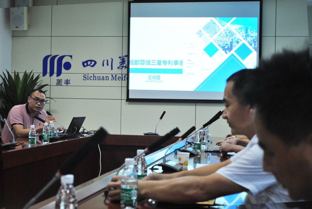 2020年四川美丰知识产权培训